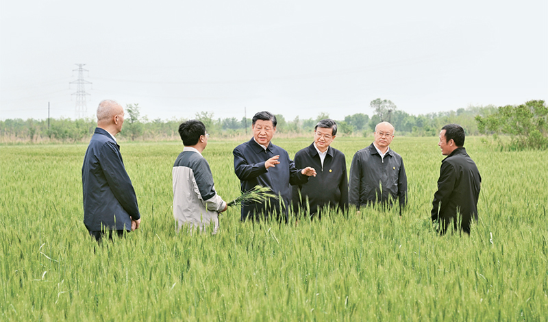 2023年5月11日至12日，，，，，中共中央总书记、国家主席、中央军委主席习近平在河北考察，，，，，并主持召开深入推进京津冀协同发展座谈会。。。。。这是11日上午，，，，，习近平在沧州市黄骅市旧城镇仙庄片区旱碱地麦田考察时，，，，，同种植户、农技专家亲切交流。。。。。 新华社记者 李学仁/摄