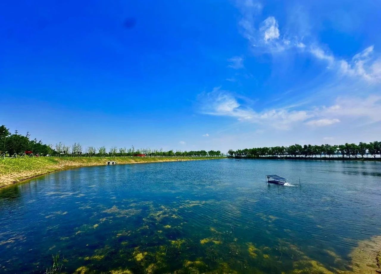 欢迎光临888集团(中国区)官方网站-Online Platform