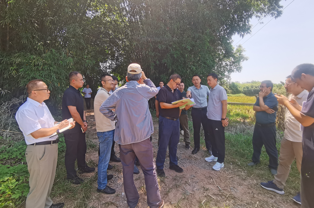 欢迎光临888集团(中国区)官方网站-Online Platform